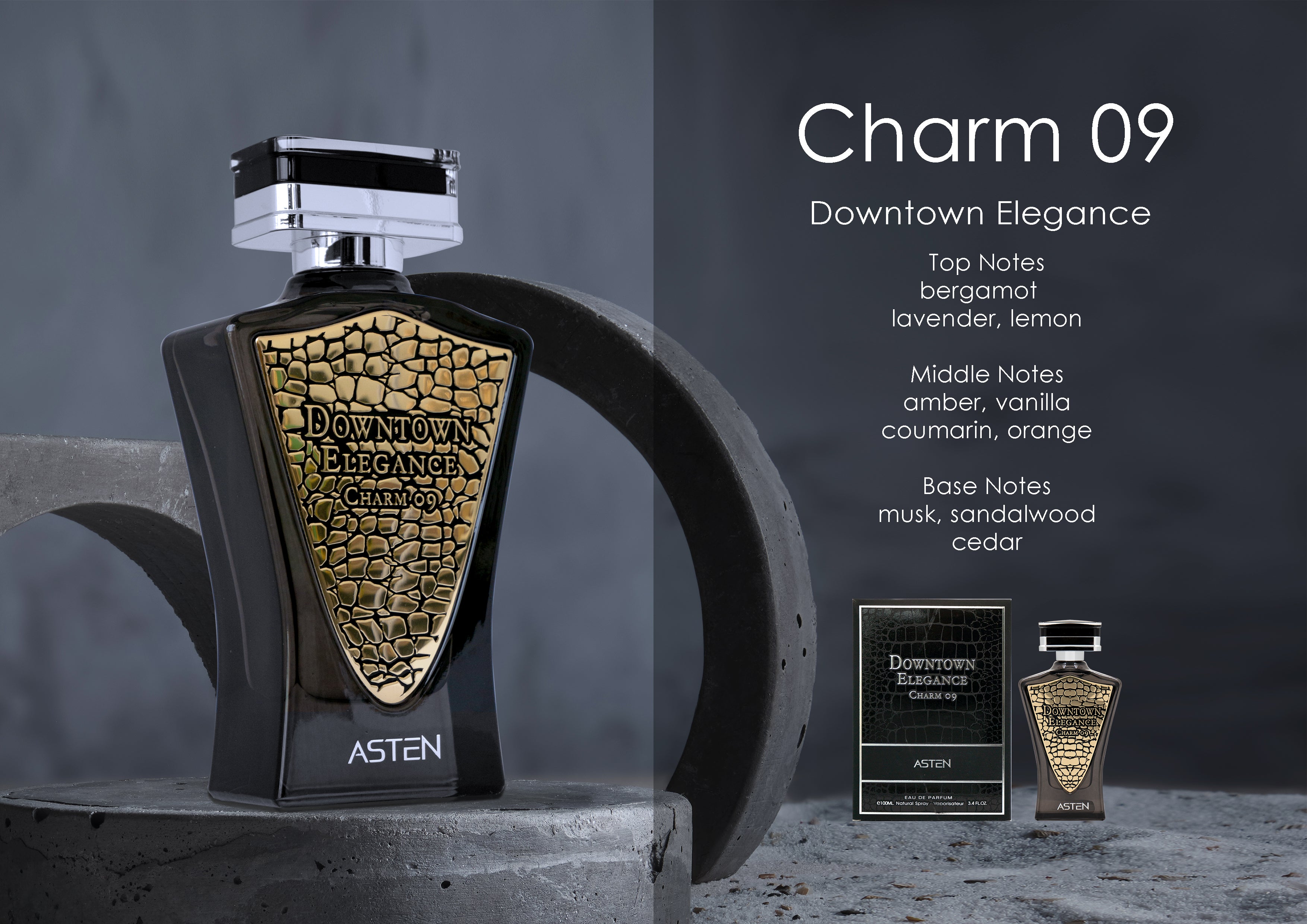 Downtown Elegance Charm 09 By Asten Eau De Parfum Spray 3.4 oz