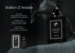 Stallion D'Arabie By Adyan Extrait De Parfum Spray 3.4 oz